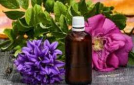 Conseil en aromathérapie le barp